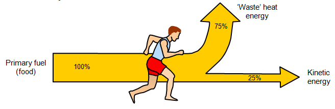 schoolphysics ::Welcome::